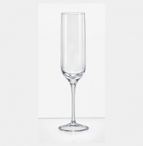 Бокалы для шампанского 200 мл 6 шт  Crystalex CZ s.r.o. "Ума /Без декора" / 229017
