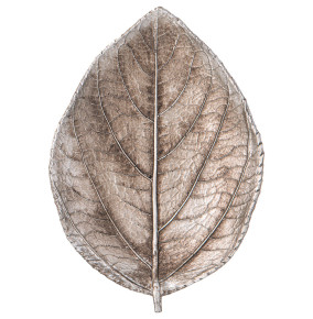 Блюдо декоративное 15 х 11,6 х 2,8 см Лист  LEFARD "Leaf" / 339047