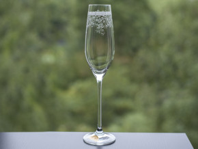 Бокалы для шампанского 210 мл 2 шт  Rona "Сelebration /Европейский декор" / 167489