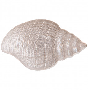 Блюдо 30  х 18 х 4 см Ракушка  Bronco "Shell pearl" / 289188